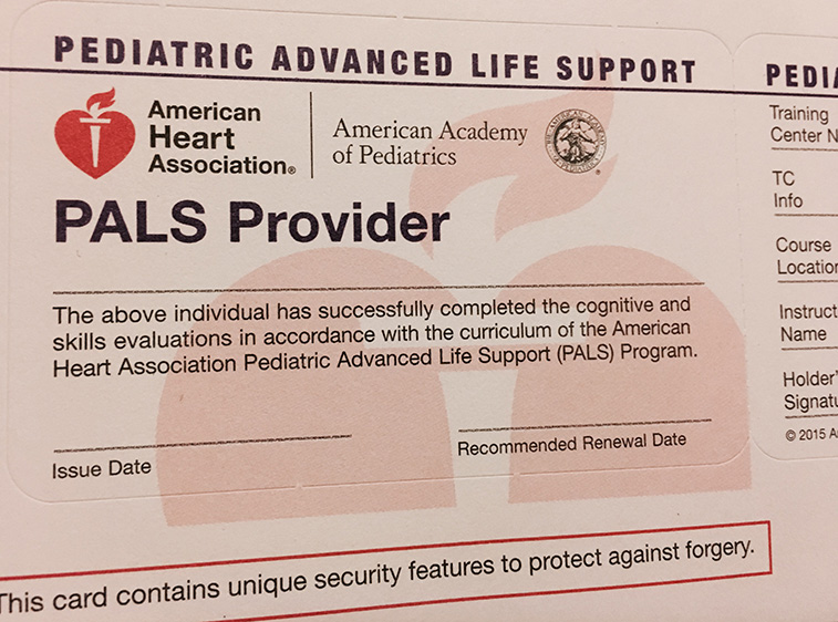 Orlando PALS skills sessions